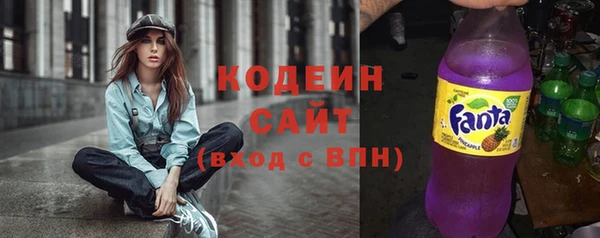 ГАЛЛЮЦИНОГЕННЫЕ ГРИБЫ Лагань