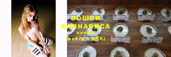 ГАЛЛЮЦИНОГЕННЫЕ ГРИБЫ Лагань