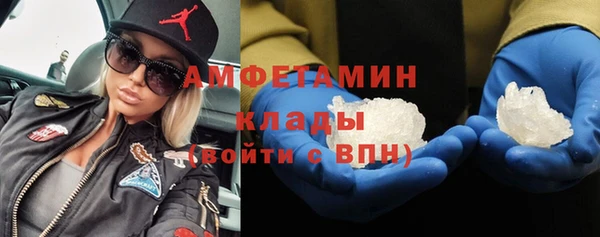 ГАЛЛЮЦИНОГЕННЫЕ ГРИБЫ Лагань