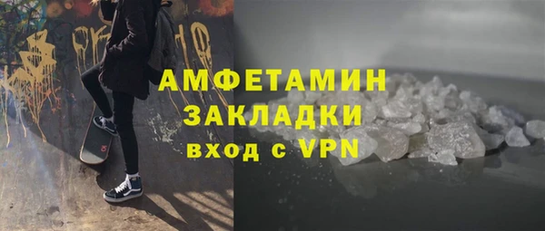 ГАЛЛЮЦИНОГЕННЫЕ ГРИБЫ Лагань