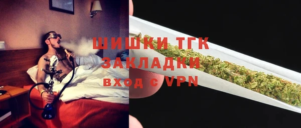 ГАЛЛЮЦИНОГЕННЫЕ ГРИБЫ Лагань