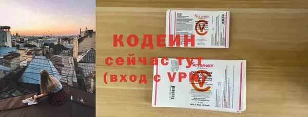 ГАЛЛЮЦИНОГЕННЫЕ ГРИБЫ Лагань