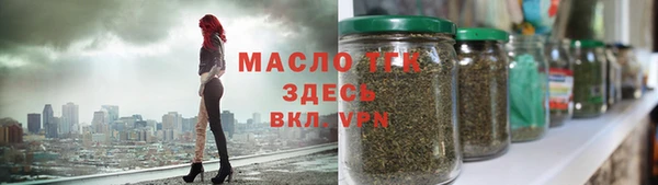 ГАЛЛЮЦИНОГЕННЫЕ ГРИБЫ Лагань