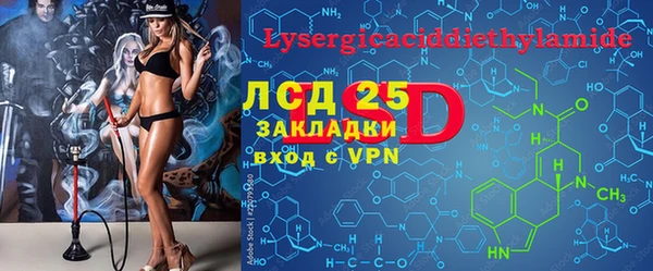 ГАЛЛЮЦИНОГЕННЫЕ ГРИБЫ Лагань