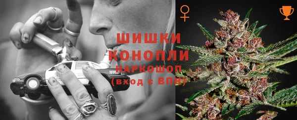 стафф Лабытнанги