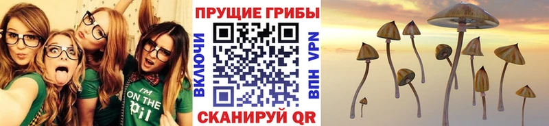 Псилоцибиновые грибы прущие грибы Усолье